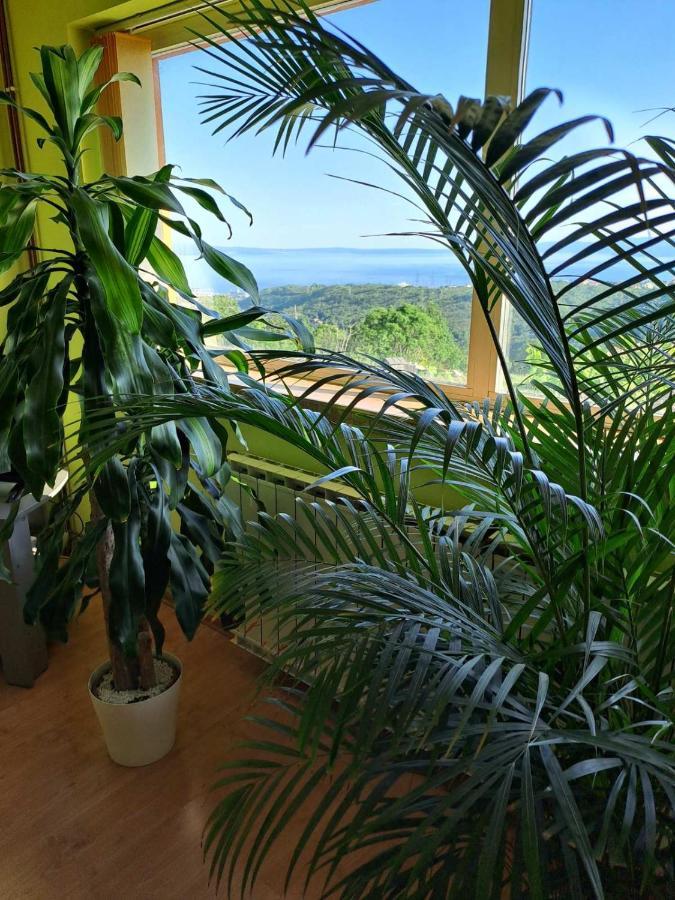 Villa Kuca Za Odmor Vista Mare Marinici  Exterior foto